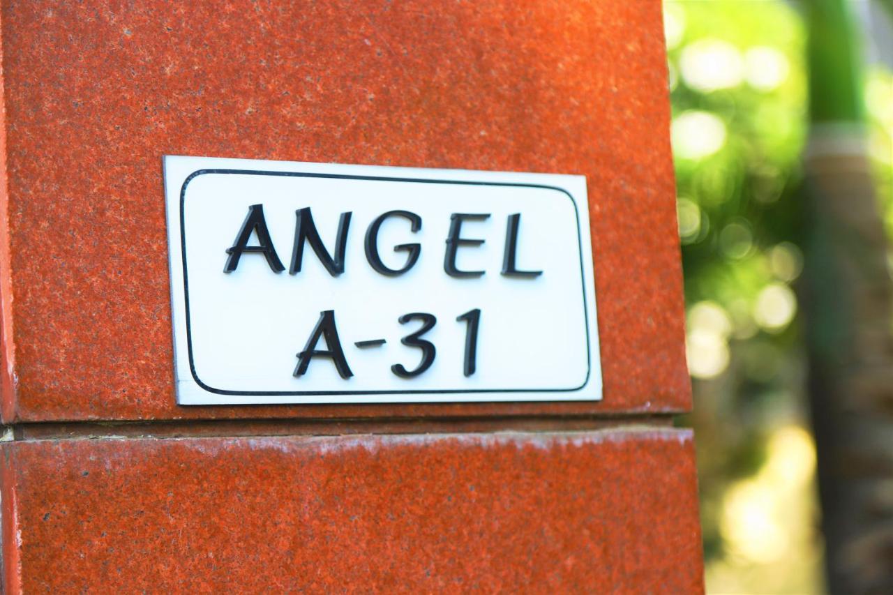 Angel Nri B&B نويدا الكبرى المظهر الخارجي الصورة